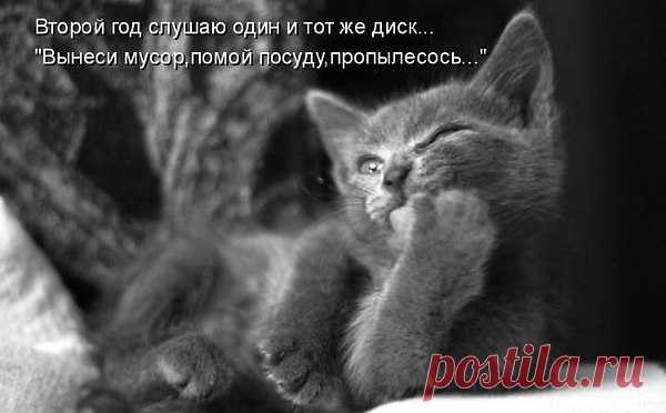 Популярные записи по теме «животные»