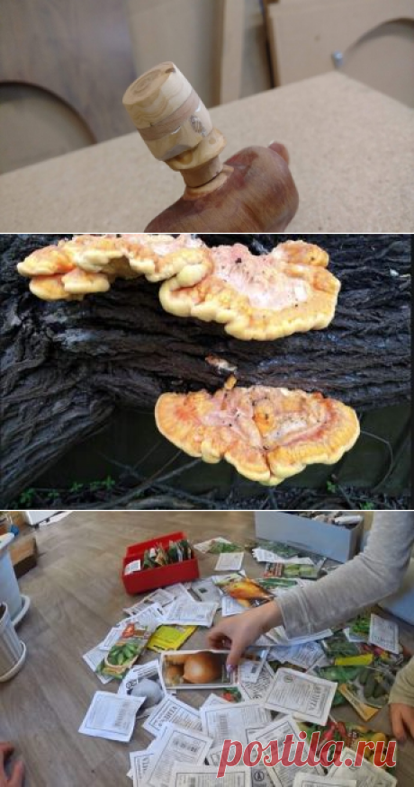 Серьезная игрушка из дерева своими руками
Хочу поделиться с вами своей работой над одной серьёзной игрушкой из дерева....
Читай дальше на сайте. Жми подробнее ➡