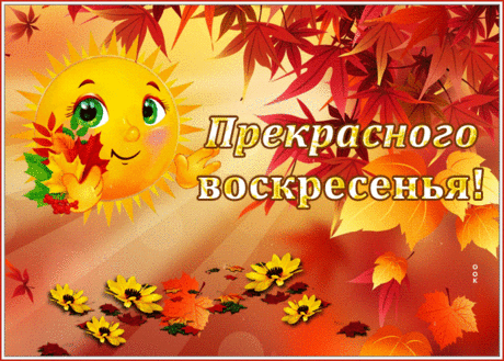Осенняя открытка прекрасного воскресенья с солнышком
