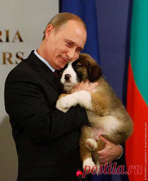 Президент России и его собаки