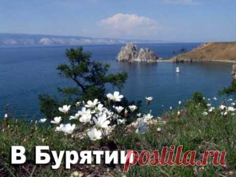 ДТП: "Камаз" - в поезд, "Тойота" - в ограждение, авария на развязке, сбил насмерть, грузовик с наркотиком - 5 Октября 2016 - Russia-Asia-Siberia