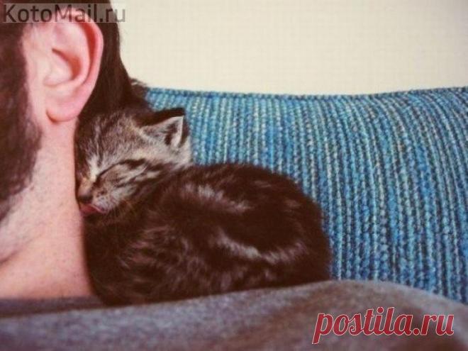 Маленькое счастье