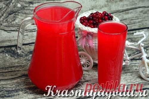 Клюквенный квас. Рецепт кваса с фото