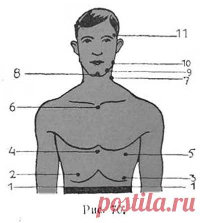 Удары. Ликбез 
 Легче всего нокаут достигается ударом по  подбородку (рис.  8 и 9) и по углу челюсти (рис. 7, 10). Эти удары  ведут обычно к полной потери сознания, которая происходит вследствие  того, что кровенос…