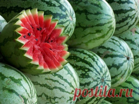 7 самых необычных и удивительных сортов арбузов