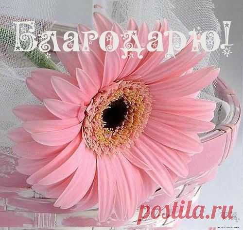 (1) Pinterest