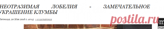 Поиск нужной и полезной информации