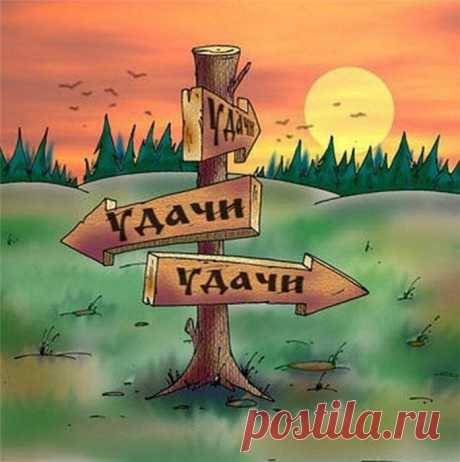 Дневник ZVEROBOY_7968