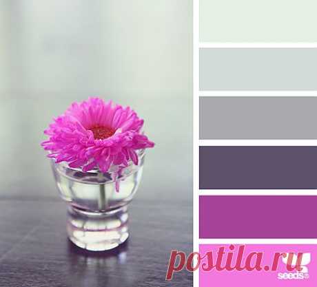 Design Seeds® | find your palette