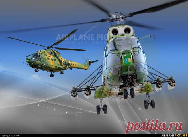 101 - Румыния - ВВС IAR Industria Aeronautică Română IAR 330 Puma " Off Airport | Photo ID 266552 | Airplane-Pictures.net