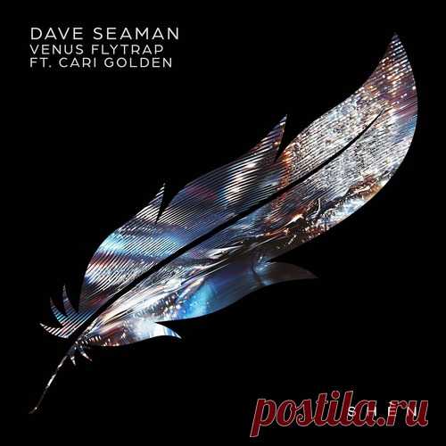 Download Dave Seaman, Cari Golden - Venus Flytrap (feat. Cari Golden) Label SHÈN Recordings Styles Melodic House & Techno Date 2025-01-24 Catalog # 5034644347639 Length 13:37 Tracks 2