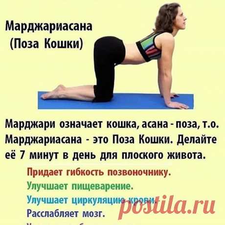 Photo by ЛЕЧЕБНИК ИЗ ПРОШЛОГО on July 24, 2020. На изображении может находиться: 1 человек, текст «марджариасана (поза кошки) марджари означает кошка, асана поза, T.O. марджариасана это поза кошки. делайте её 7 минут в день для плоского живота. придает гибкость позвоночнику. улучшает пищеварение. улучшает циркуляцию крови. расслабляет мозг.»