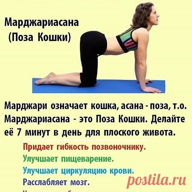 Photo by ЛЕЧЕБНИК ИЗ ПРОШЛОГО on July 24, 2020. На изображении может находиться: 1 человек, текст «марджариасана (поза кошки) марджари означает кошка, асана поза, T.O. марджариасана это поза кошки. делайте её 7 минут в день для плоского живота. придает гибкость позвоночнику. улучшает пищеварение. улучшает циркуляцию крови. расслабляет мозг.»