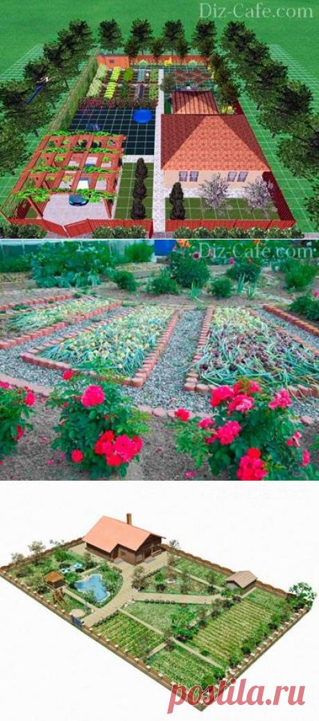 Планировка плодово-фруктового сада и огорода - примеры и правила