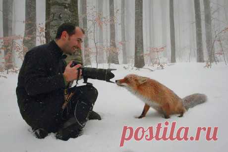 Фото на память