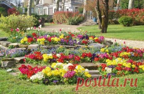 Минимум хлопот и максимум ярких красок