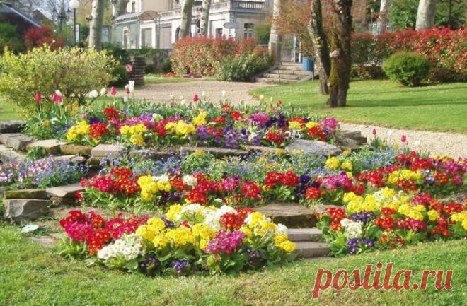 Минимум хлопот и максимум ярких красок