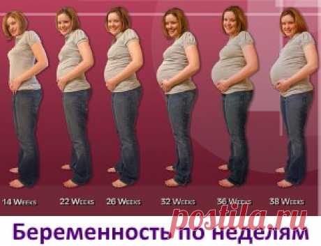 Когда делать тест на беременность, утром или вечером делать тест на беременность?