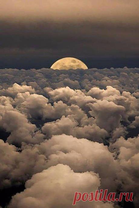 Pinterest