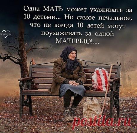 жизнь