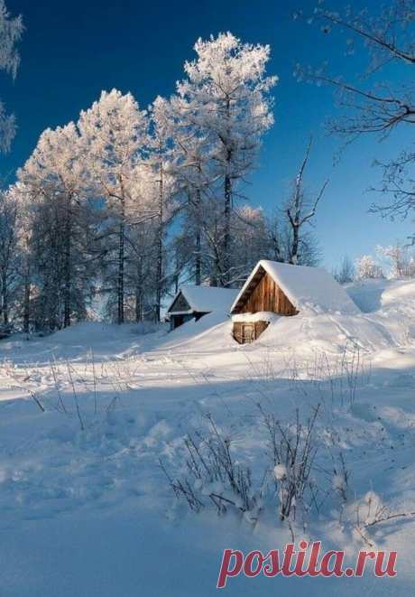 По крышу в снегу.