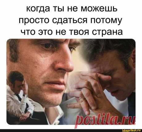 Когда ты не можешь просто сдаться потому что это не твоя страна - ) / АйДаПрикол .)