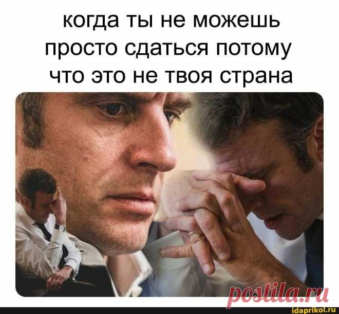 Когда ты не можешь просто сдаться потому что это не твоя страна - ) / АйДаПрикол .)