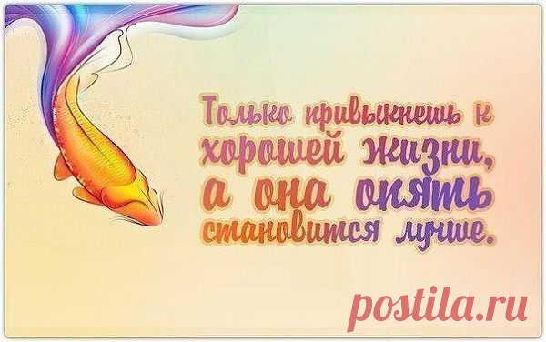 ЖИЗНЬ ХОРОША...