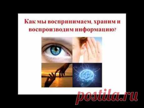 Вебинар Дениса Кузьмина &quot;Как найти общий язык с любым человеком&quot; - YouTube