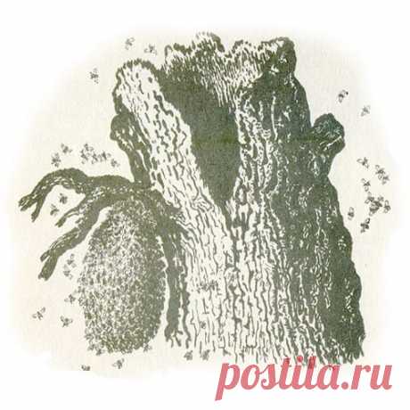 ТЕРЕМОК