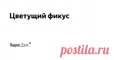 Цветущий фикус | Яндекс Дзен Меня зовут Ксения. Выращиваю комнатные растения более 15 лет. Есть небольшой дачный участок, который облюбовали любимые цветы, овощные и ягодные культуры. Своим опытом делюсь в публикациях на этом канале. Присоединяйтесь, будем обмениваться опытом!
Контактная почта: tsvetochnyesovety@yandex