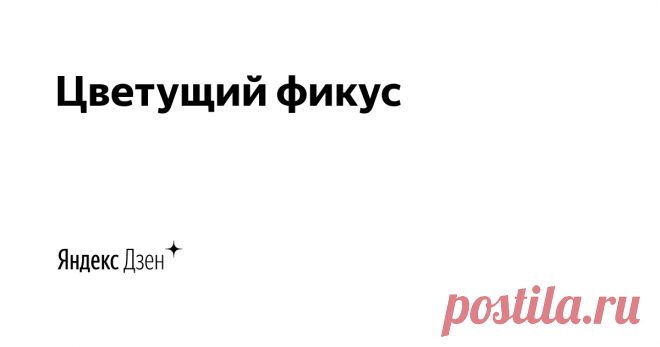 Цветущий фикус | Яндекс Дзен Меня зовут Ксения. Выращиваю комнатные растения более 15 лет. Есть небольшой дачный участок, который облюбовали любимые цветы, овощные и ягодные культуры. Своим опытом делюсь в публикациях на этом канале. Присоединяйтесь, будем обмениваться опытом!
Контактная почта: tsvetochnyesovety@yandex