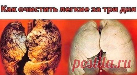 КАК ВЫВЕСТИ МОКРОТУ ИЗ ЛЁГКИХ? НАРОДНЫЕ РЕЦЕПТЫ
Скорее всего, нет такого человека, который бы не сталкивался в своей жизни с проблемой грудного мокрого кашля. Причины его появления могут быть самые разные (от курения до бронхита), но лечение одно – необходимо природным путём разжижать и удалять слизь из дыхательных путей. В этой статье мы приводим несколько натуральных эффективных рецептов против этого недуга.
Как вывести мокроту из легких? – эффективные рецепты:
1. Отхарк...