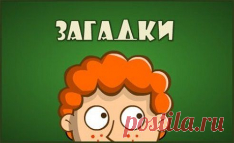 15 веселых загадок с подвохом!