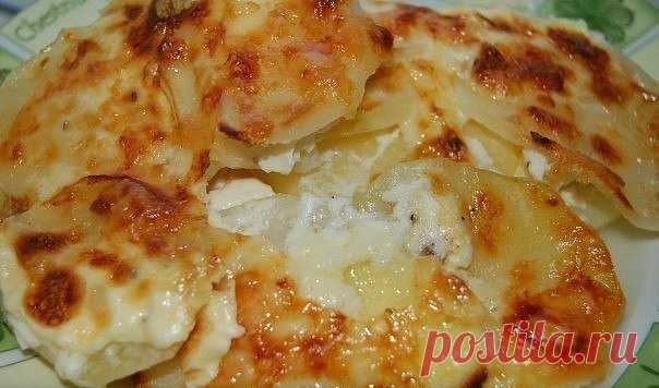 КАРТОФЕЛЬ "ДОФИН". 