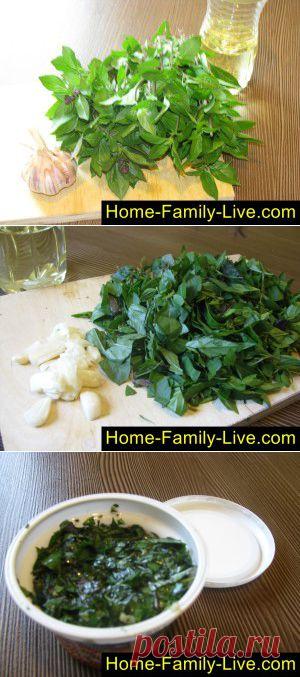 Хранение базилика - пошаговый фоторецепт - базилик в масле на зиму