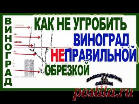 https://youtu.be/QvW0Oeg_ZSg