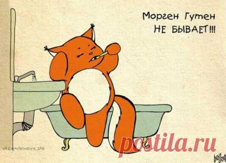 Прикольные комиксы про белку Крошку Ши / Интересное / Развлекательный блог