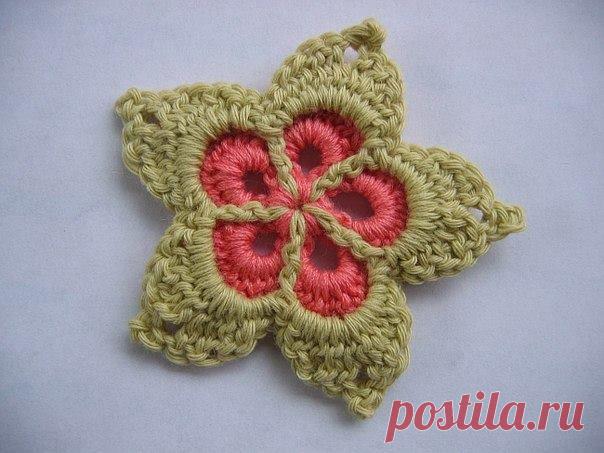 (6) Elifce Örgüler