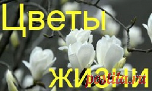 СВЯЗАЛИ! — А КАК ПРАВИЛЬНО СШИТЬ?: Дневник группы «ВЯЖЕМ ПО ОПИСАНИЮ»: Группы - женская социальная сеть myJulia.ru