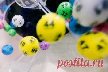 Работники банка выиграли по 2,5 миллиона рублей благодаря мифическому змею. В Таиланде глава муниципалитета Нонг Ят в провинции Накхонпханом заявил, что несколько работников банка выиграли в лотерею по одному миллиону батов (2,5 миллиона рублей) благодаря подсказке мифического змея Нага. Утай Коца заявил, что после заложения в Нонг Яте фундамента статуи Нага, он явился во сне сотруднику банка