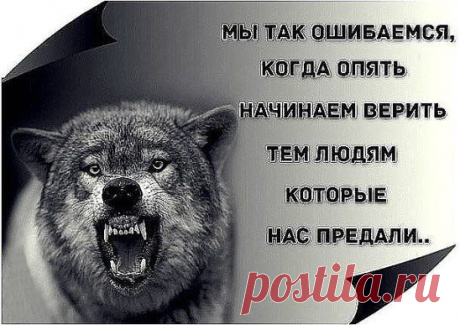 (22) Одноклассники
