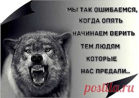 (22) Одноклассники