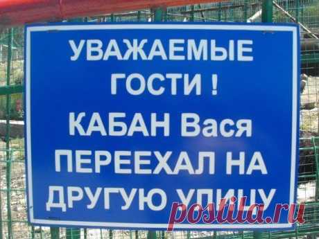 От этих надписей можно надорвать живот / Писец - приколы интернета
