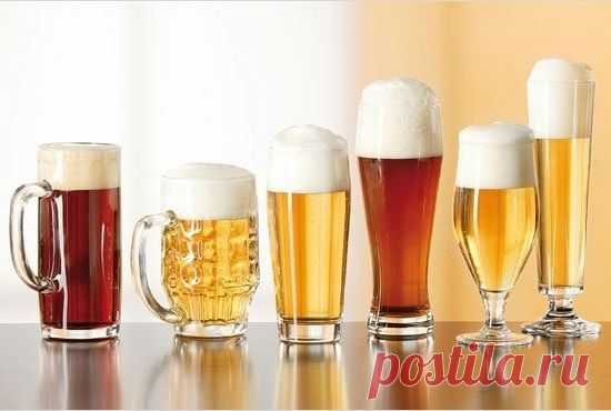Правила дегустации пива - Сосед-Домосед