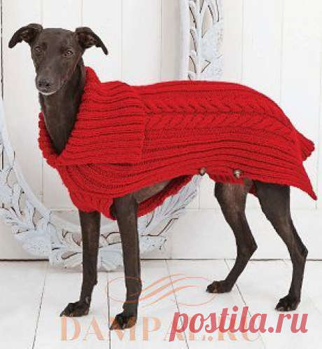 Вязаная попона для собаки | DAMские PALьчики. ru