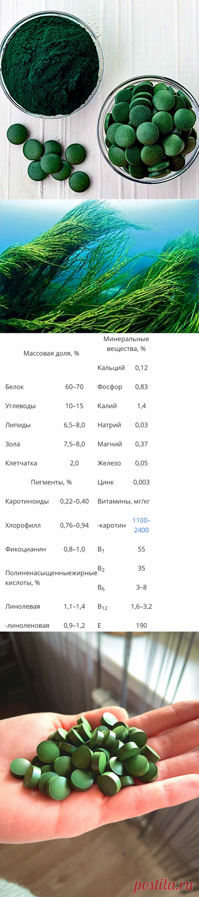 Вся правда о полезных свойствах спирулины для здоровья и долголетия. Узнав ее состав, я стал принимать ее каждый день
Сейчас стало популярным понятие SuperFood — еда, или продукт в котором максимально сконцентрированы полезные вещества. Как раз об одном из таких продуктов и пойдет сегодня речь — спирулине.   Чаще всего спирулину употребляют в виде порошка или таблеток Спирулина — цианобактерия,...
Читай дальше на сайте. Жми подробнее ➡