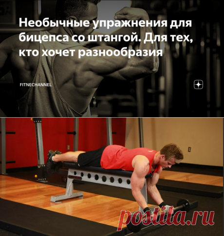 Необычные упражнения для бицепса со штангой. Для тех, кто хочет разнообразия | fitnechannel | Яндекс Дзен