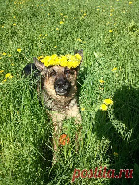 Лариса Абдуллина-Кельман