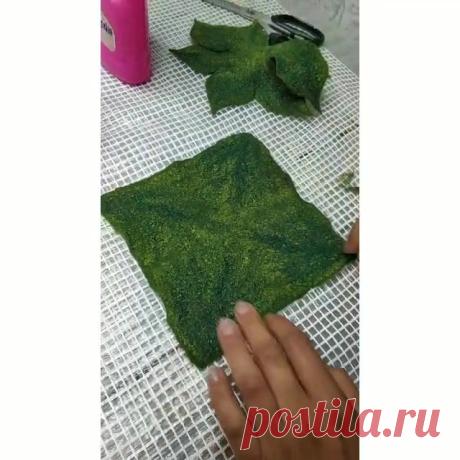 (53) Елена Исаева